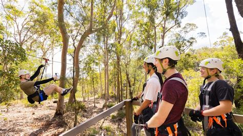 Canyon Flyer Zipline Tour, Australia's largest Zipline .